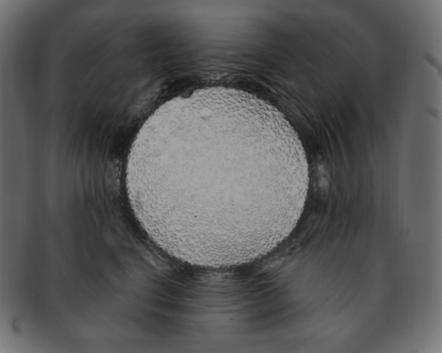 X0000091370664200709071327