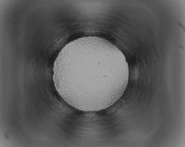 X0000091370666200709071327