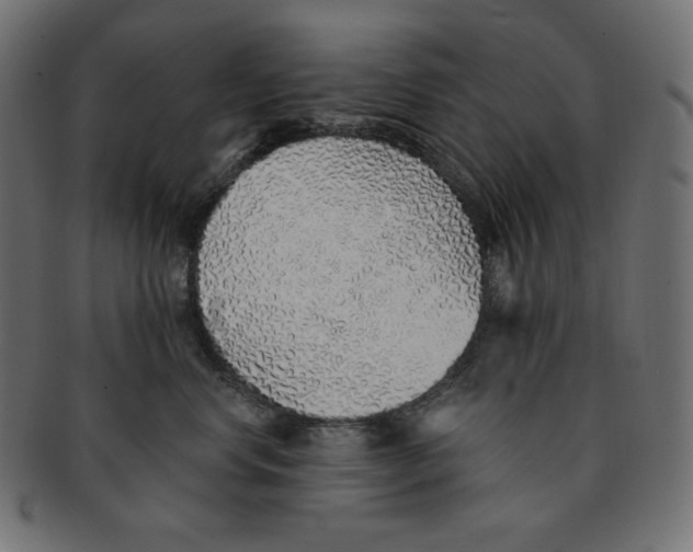 X0000091370668200709071327