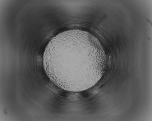 X0000091370669200709071327