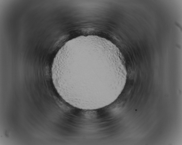 X0000091370670200709071327