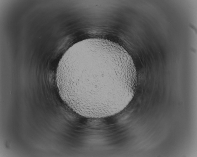 X0000091370671200709071327