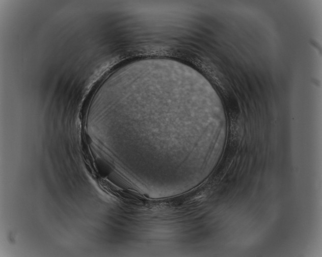 X0000091370674200709071327