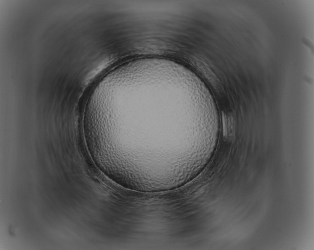 X0000091370675200709071327