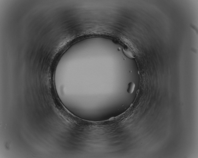 X0000091370680200709071326