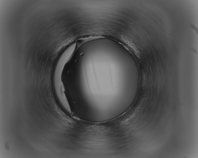 X0000091370681200709071326