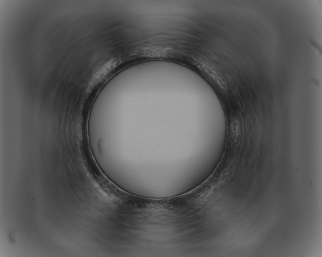 X0000091370682200709071326