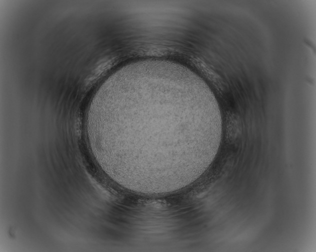 X0000091370683200709071326