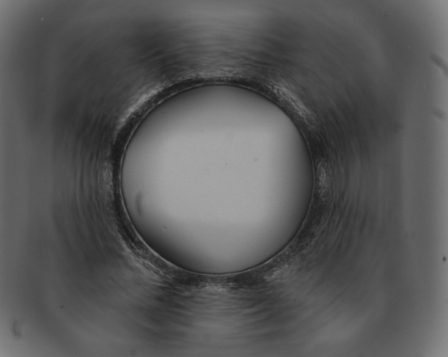 X0000091370684200709071326