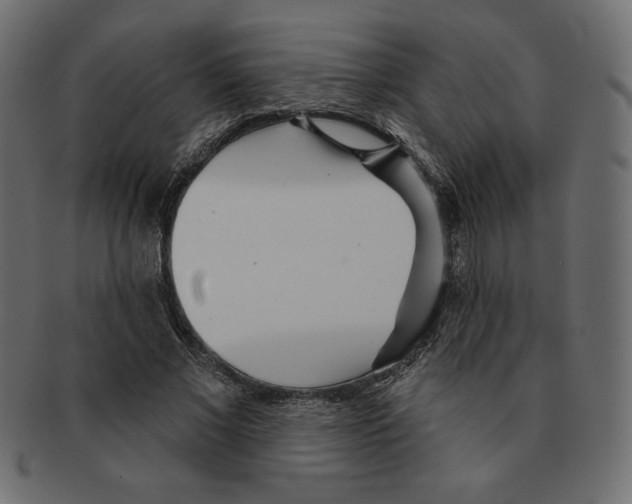 X0000091370685200709071326