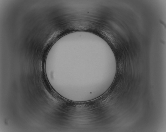 X0000091370686200709071326