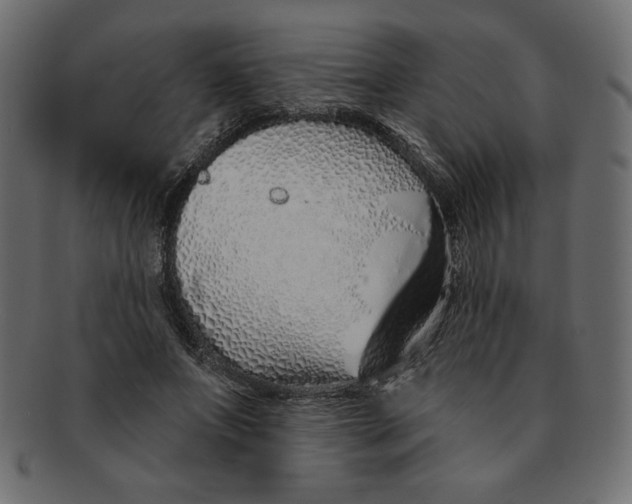 X0000091370687200709071326