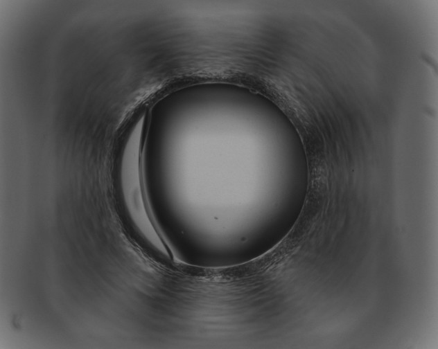 X0000091370688200709071326