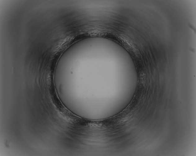 X0000091370690200709071326