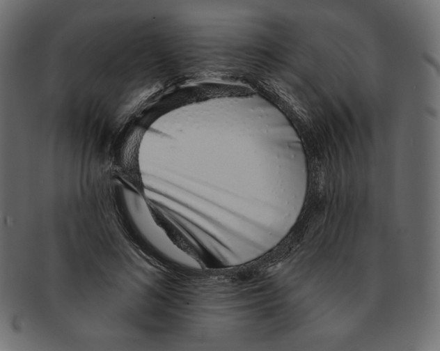 X0000091370692200709071326