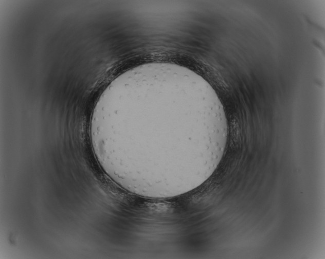 X0000091370698200709071326