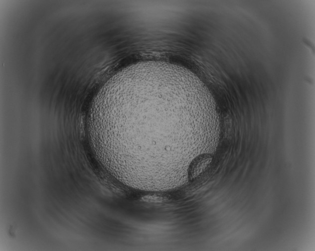 X0000091370699200709071326