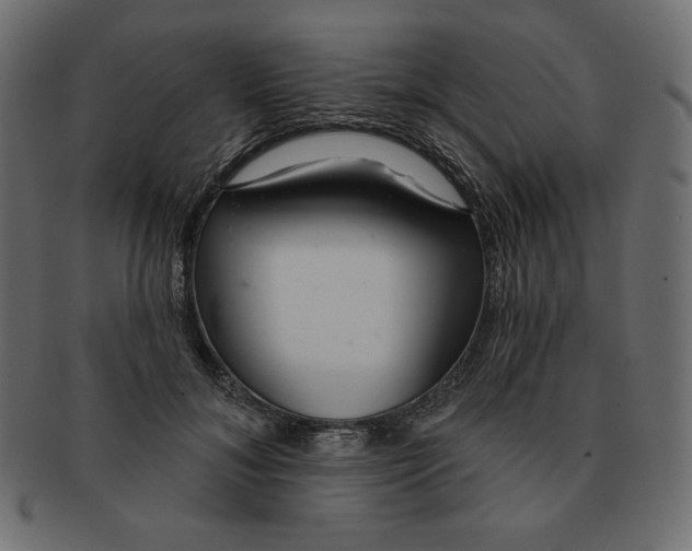 X0000091370700200709071326