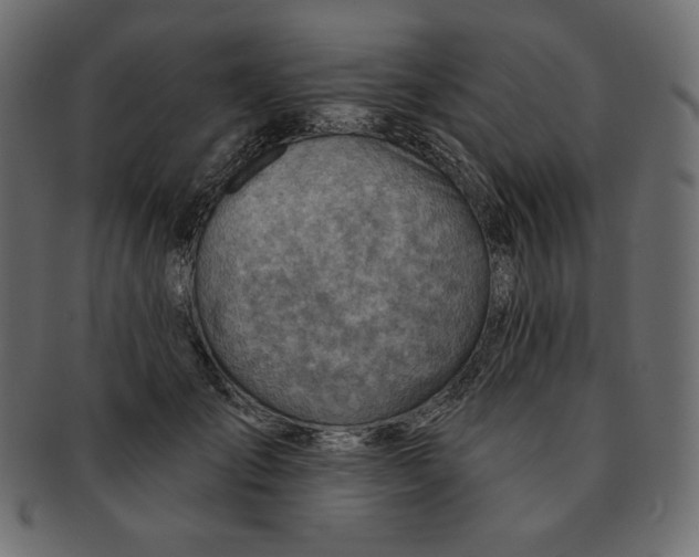 X0000091370701200709071326