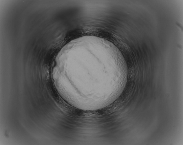 X0000091370703200709071326