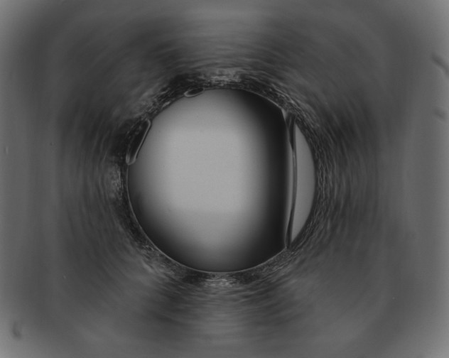 X0000091370704200709071326