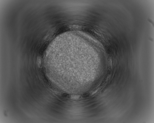 X0000091370709200709071326