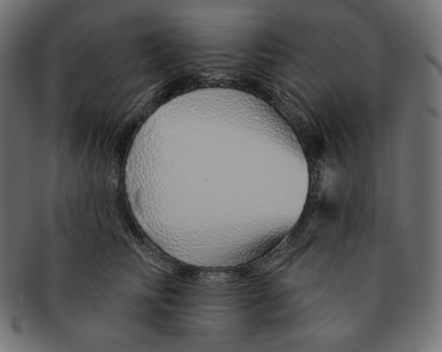 X0000091370710200709071326