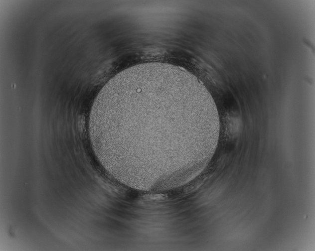 X0000091370711200709071326