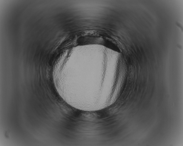 X0000091370712200709071326