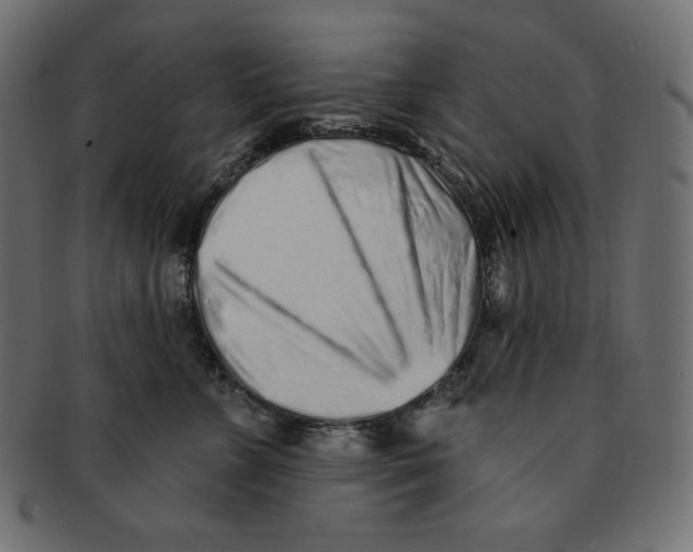 X0000091370715200709071326