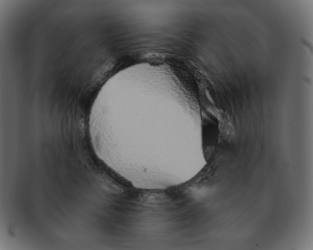 X0000091370716200709071326