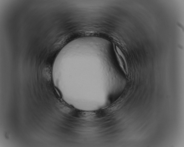 X0000091370719200709071326