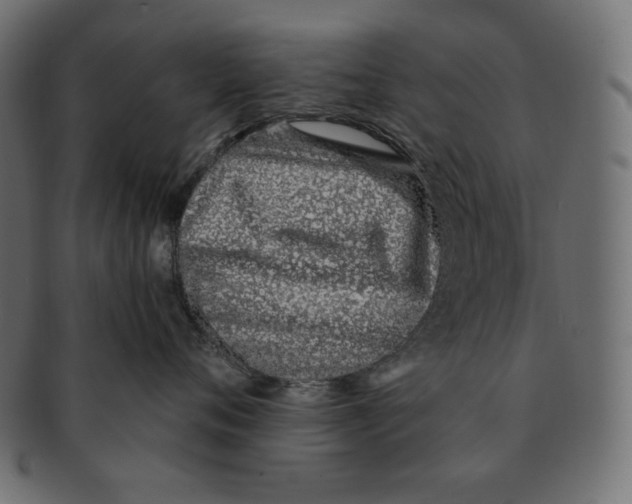 X0000091370720200709071326