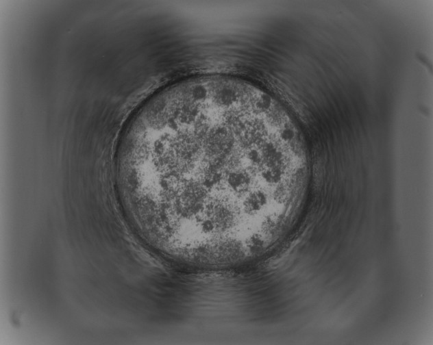 X0000091370721200709071325