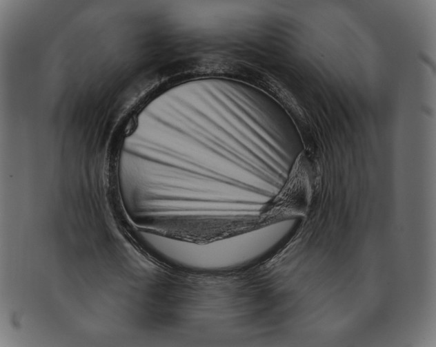 X0000091370722200709071325