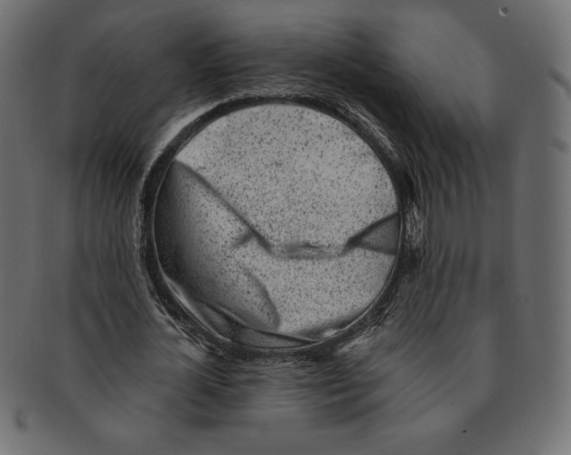 X0000091370724200709071325