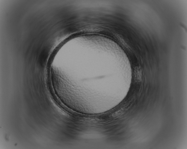 X0000091370726200709071325