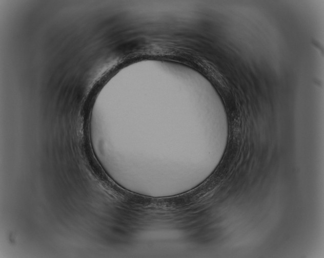 X0000091370727200709071325