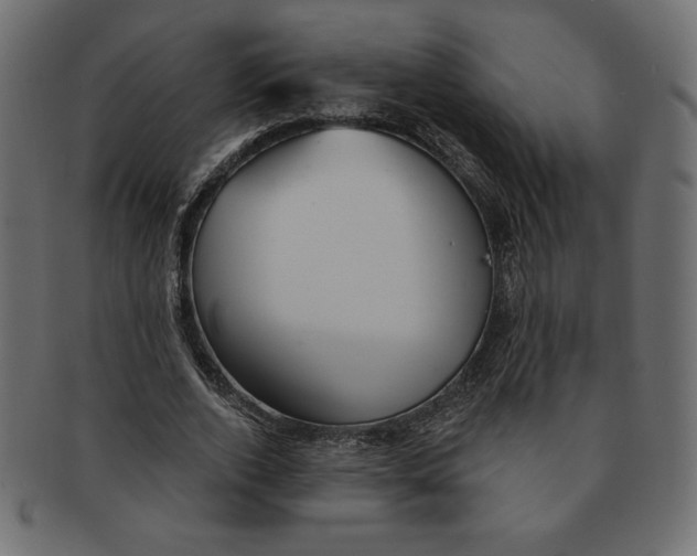 X0000091370728200709071325