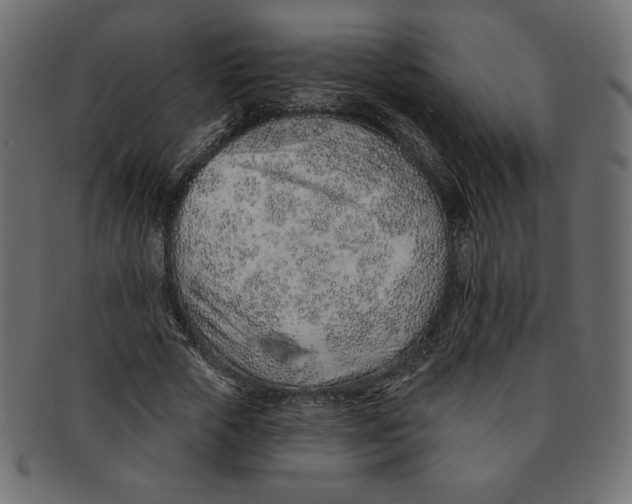 X0000091370729200709071325