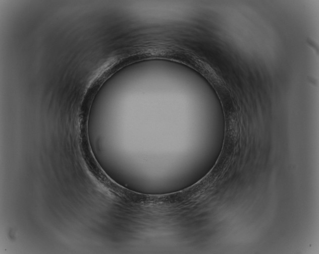 X0000091370730200709071325