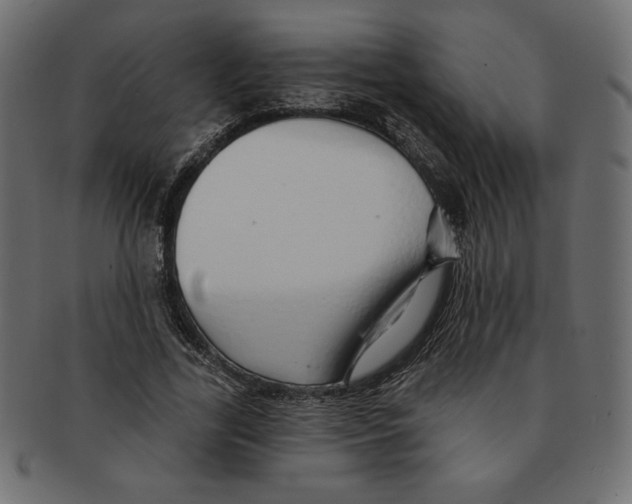 X0000091370731200709071325