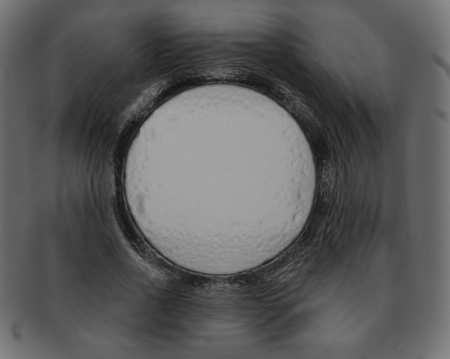 X0000091370734200709071325