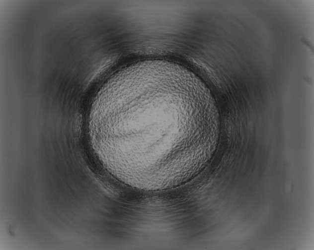 X0000091370735200709071325