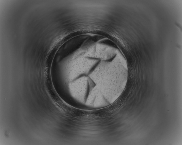 X0000091370736200709071325