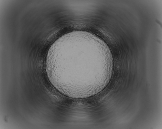 X0000091370737200709071325