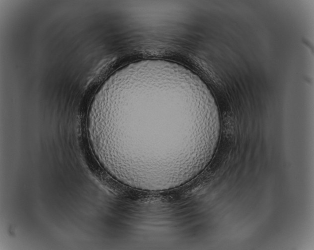 X0000091370738200709071325