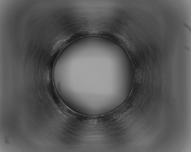 X0000091370740200709071326