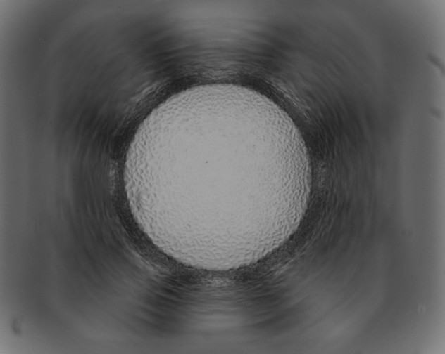 X0000091370741200709071326