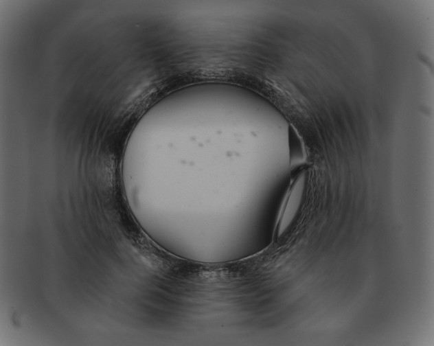 X0000091370744200709071326